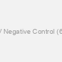 NATtrol EV Negative Control (6 X 0.2 mL)